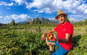 Ecrins de Fruits