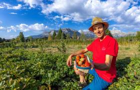 Ecrins de Fruits