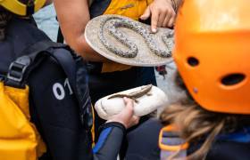 Sortie Comme un Desman dans l'eau, Tom Rafting © Pierre Meyer-AE Médias - Parc national des Pyrénées