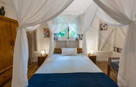 Bwa Majorelle