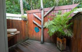 Bwa Majorelle