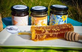 Miels de forêts - Beekeeper