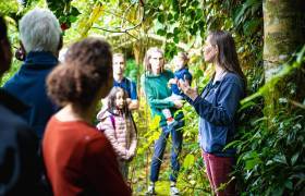 Visite guidée - La Vallée Heureuse