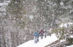 P. MEYER - AE Médias - Parc national des Pyrénées