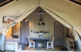 tente renard interieur