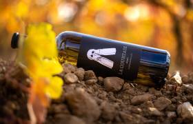 ©Domaine de la Courtade - La Courtade