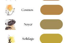 Plusieurs variantes de couleurs selon les plantes utilisées