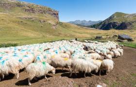 Ferme De l'Aouda - P. MEYER - AE Médias - Parc national des Pyrénées