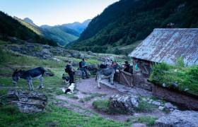 Ferme De l'Aouda - P. MEYER - AE Médias - Parc national des Pyrénées