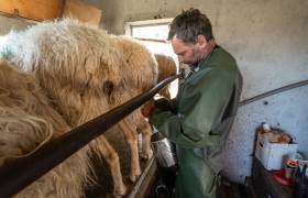 Ferme De L'Aouda - P. MEYER - AE Médias - Parc national des Pyrénées