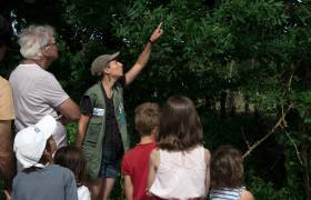 Sentiers de la Belette - Parc national de forêts