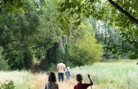 Sentiers de la Belette - Parc national de forêts