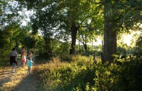 Sentiers de la Belette - Parc national de forêts