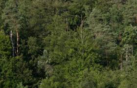 Chemins de Traverse