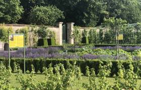 Château de Montigny-sur-Aube - Parc national de forêts