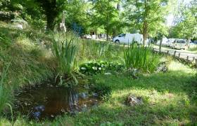 Petit Monde3