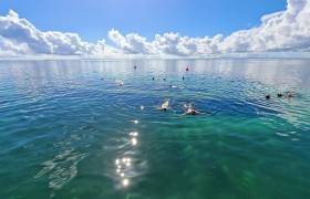 Excursion Grand Cul-de-Sac marin, snorkeling © Nico&amp;amp;Co