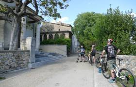 Vignoble1