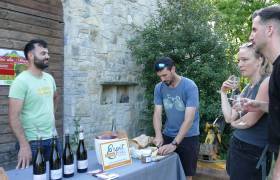 Vignoble 4