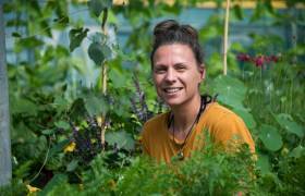Les pigments du jardin