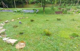 Le jardin d'Audrey