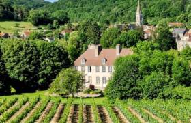 château de tavannes vu des vignes