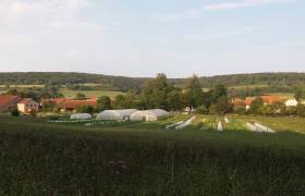 Jardins