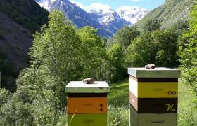 Bel'Abeille
