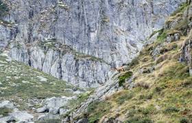 Randonnée photo avec Hadrien Brasseur © Pierre Meyer - AE Médias - Parc national des Pyrénées