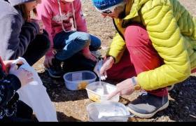 Plateau de Bernazaou - Association Eco'Dels
