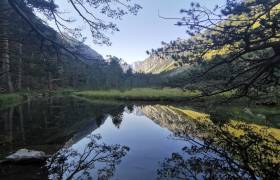 Vallée de Gaube - J. VIGNASSE - Parc national des Pyrénées