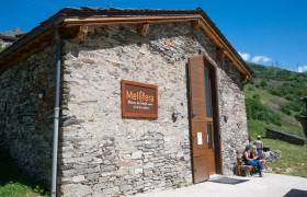 Mellifera_-_Maison_de_l_abeille_noire-Marine_VERNAZ-35303-1200px.JPG
