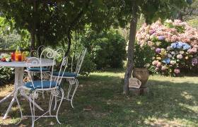 Sous la Treille