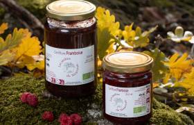 Confiture-framboise