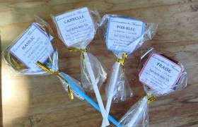 Sucettes produites par Marion Meyer