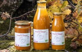 Veloute-potimarron-chataigne