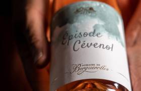 Episode cévenol rose