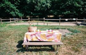 Table pique-nique