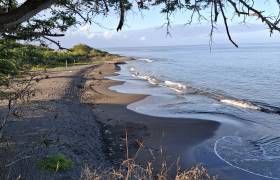 Gites les cocotiers