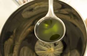 Ors na Bruma - P. MEYER - AE Médias - Parc national des Pyrénées