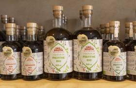 Ors na Bruma - P. MEYER - AE Médias - Parc national des Pyrénées