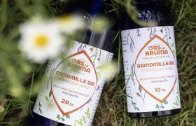 Ors na Bruma - P. MEYER - AE Médias - Parc national des Pyrénées