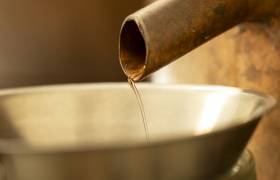 Ors na Bruma - P. MEYER - AE Médias - Parc national des Pyrénées