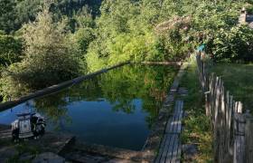 Bassin