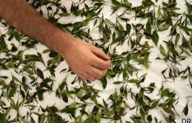 © Pierre Meyer - AE Médias - Parc national des Pyrénées