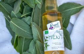 Sirop de menthe Cueillette des Sommets - Florent Pedrini - Vertical Flow