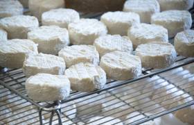 La ferme du Gâ, chabottin