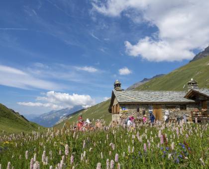 © Chloé Tardivet / Parc national de la Vanoise