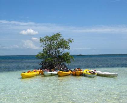 Canoe Kayak sur la mer en Guadeloupe