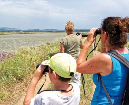 Sortie accompagnée avec Mireille Perolini © René Bukudjian – Parc national de Port-Cros